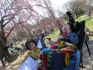 桜満開の公園に利用者さんとスタッフがいる写真
