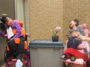2人の女の子の利用者さんが盆栽の桜と一緒に楽しそうに笑う様子