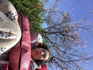 ウエルネスガーデンの桜の花と利用者さんの写真2