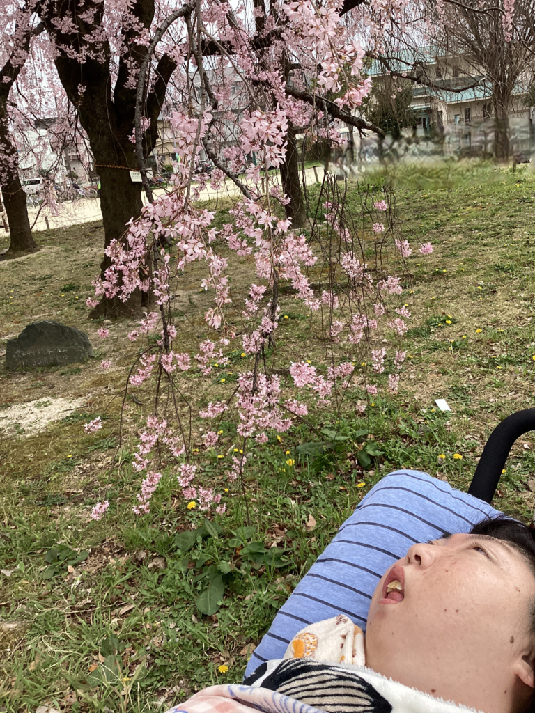桜の花と利用者さんの写真５