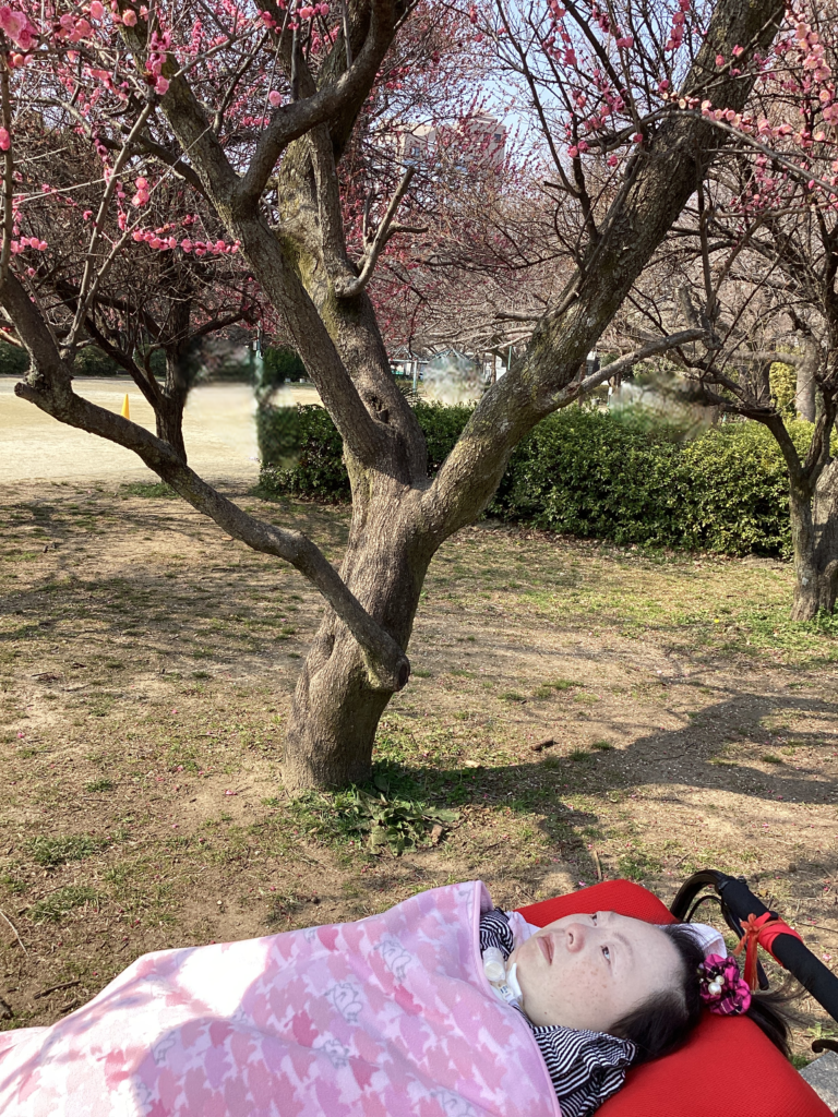 桜の花と利用者さんの写真４