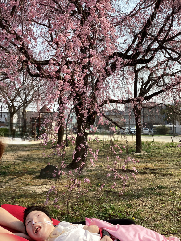 枝垂桜と利用者さんの写真1