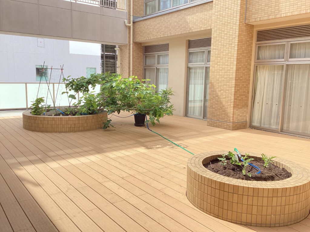 大小二つの花壇の写真