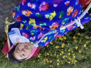 お散歩中黄色いお花と一緒の写真